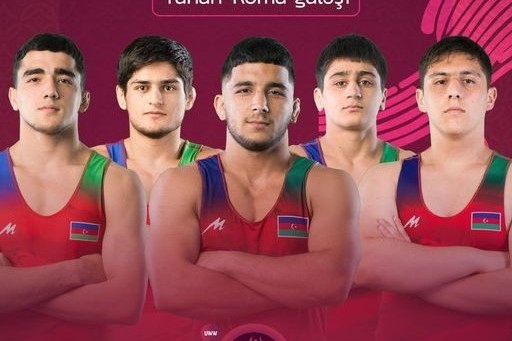 Azerbaijan national team won  medals
