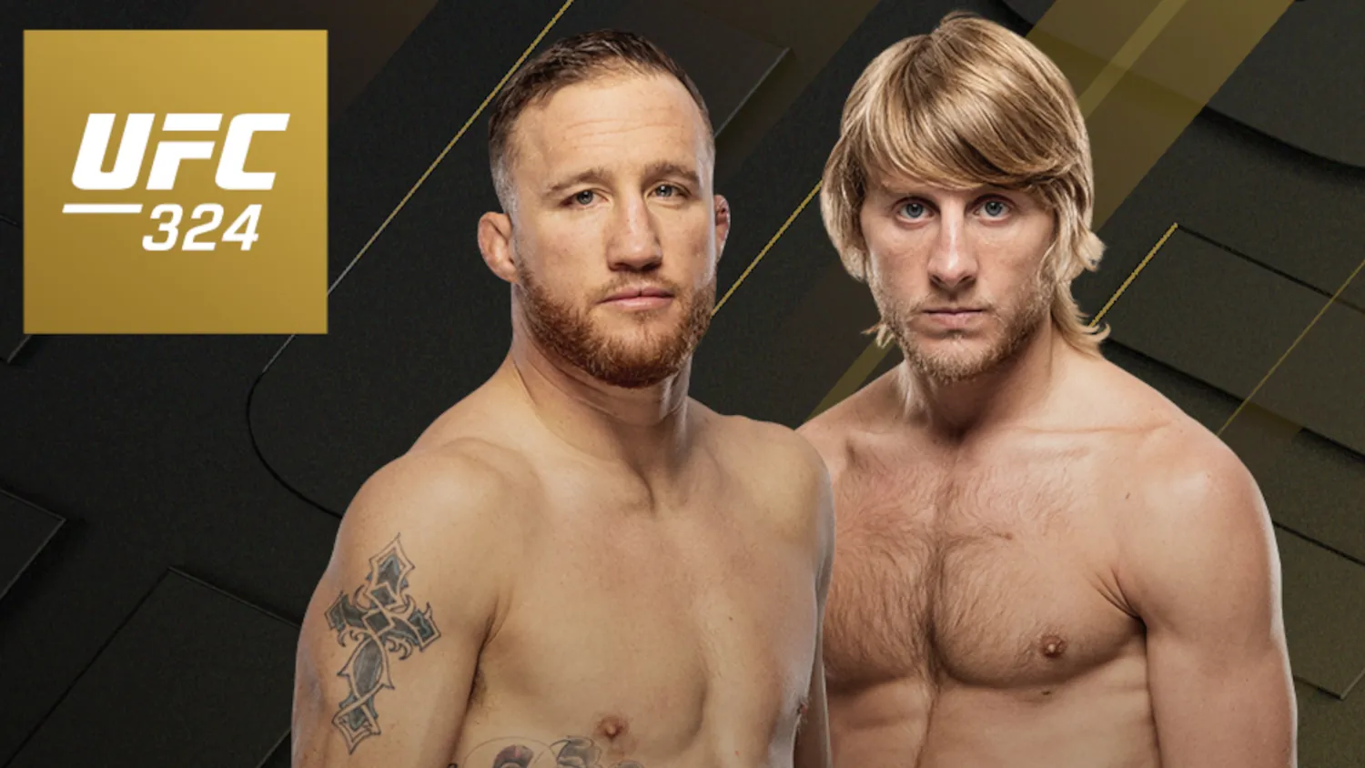 UFC  fights announced