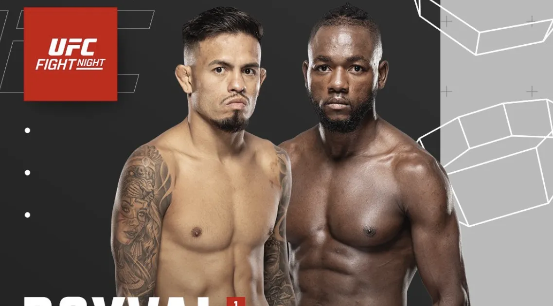 The last fights of the year were held in the UFC