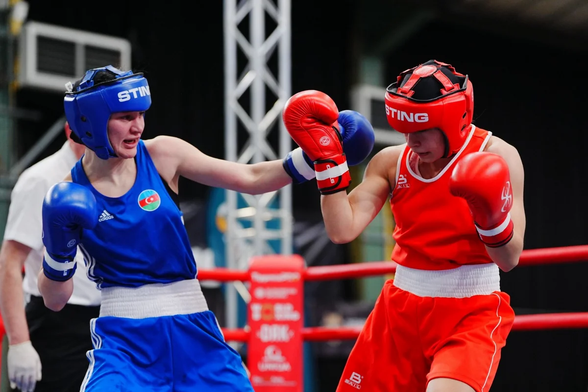 Azerbaijani Boxers Claim  Medals in Hungary