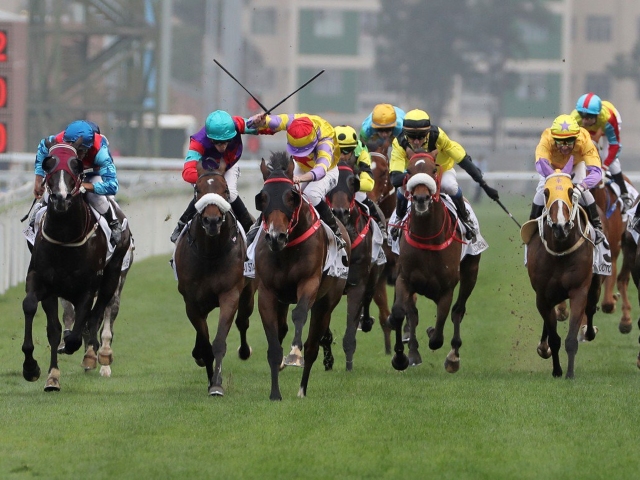 Racing tipster who picked  and  winners for last two weekends 