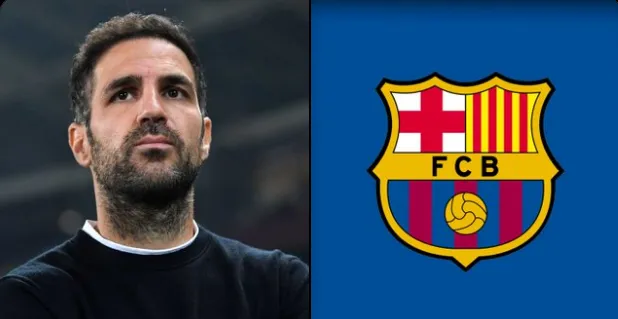 Barselonada Flikdən sonrakı dövr üçün yeni namizəd Sesk Fabreqas