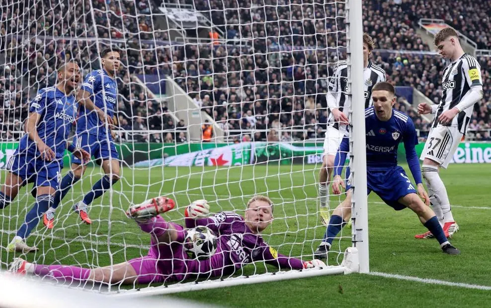 Sona qədər mübarizə aparmaq  YAZI