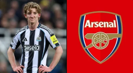 Arsenal Entoni Qordon üçün transfer yarışında ön sıradadır