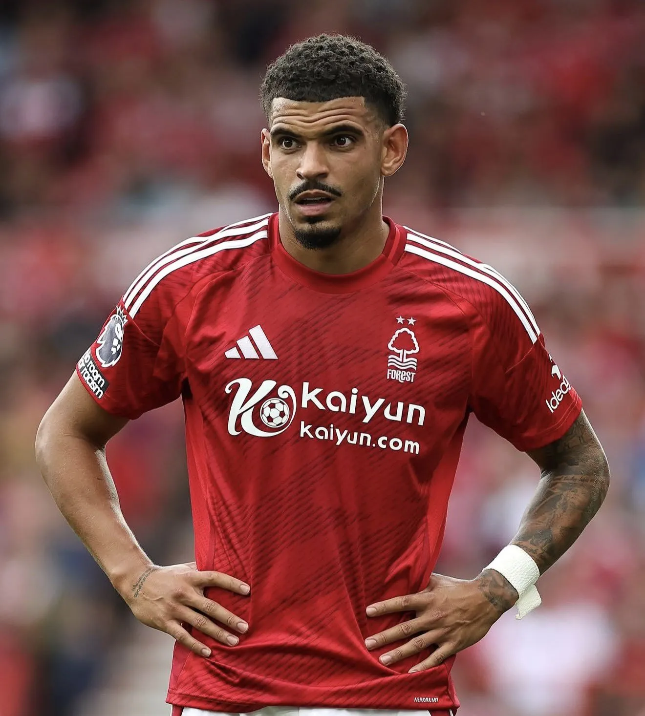Çelsi və Bayern Münhen Morqan QibbsUayt uğrunda mübarizədə